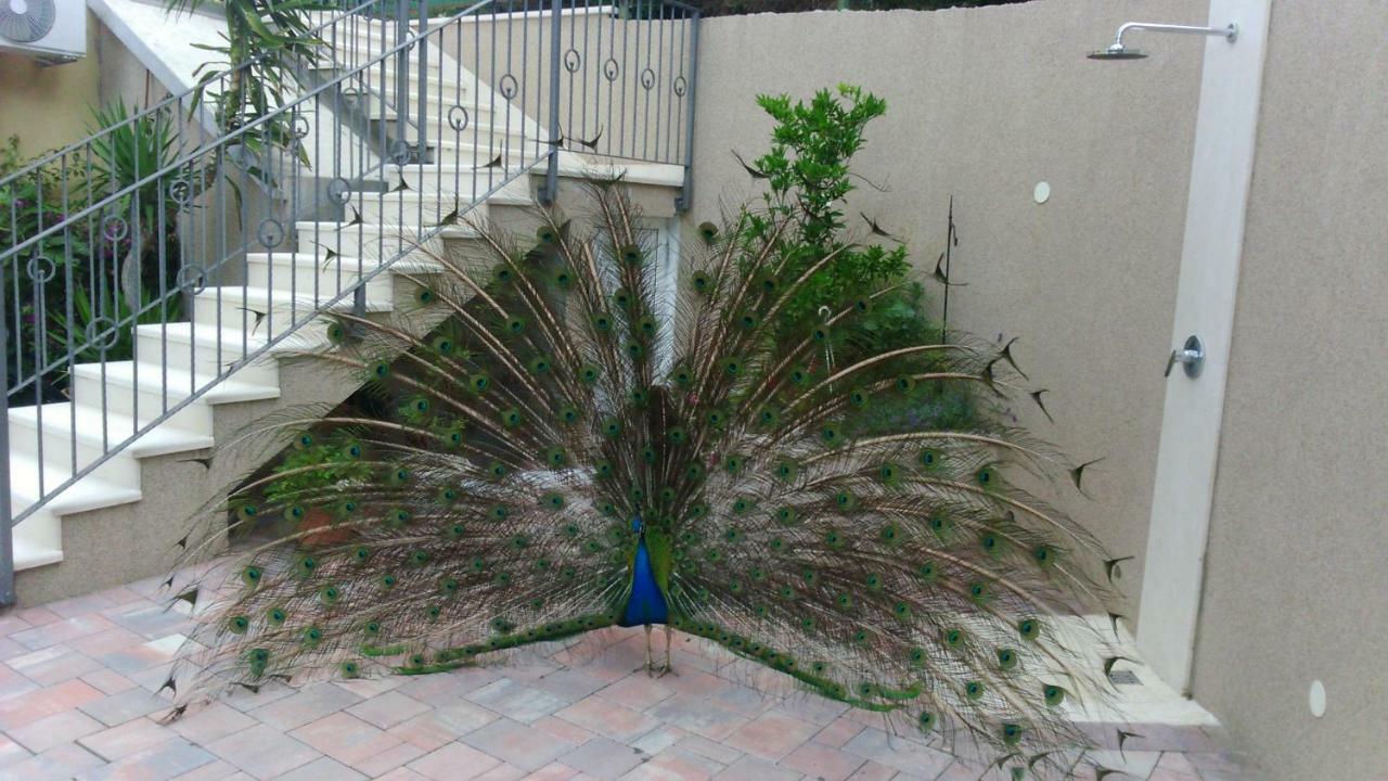 Anka Strman Apartamento Makarska Exterior foto
